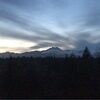 toni_sheehy